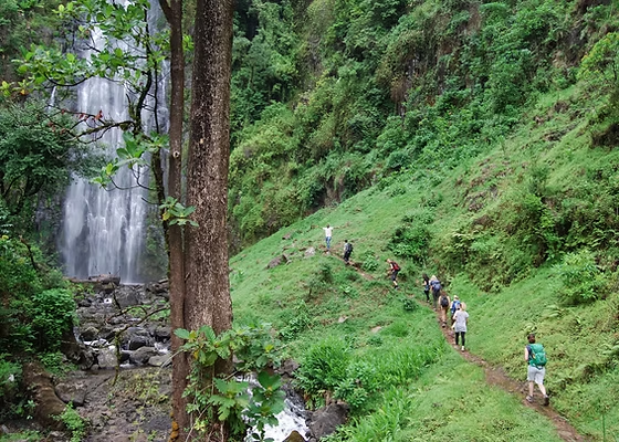 Waterfall View